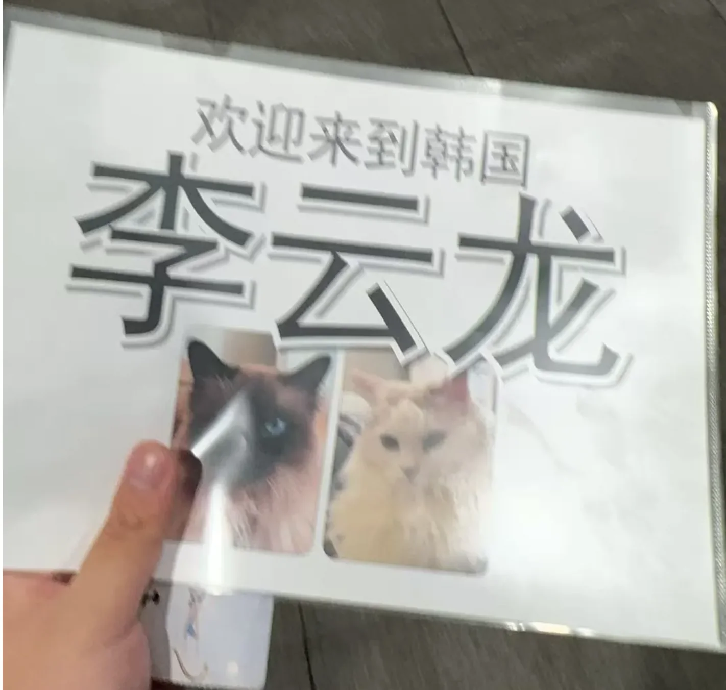 仁川机场的接机牌
