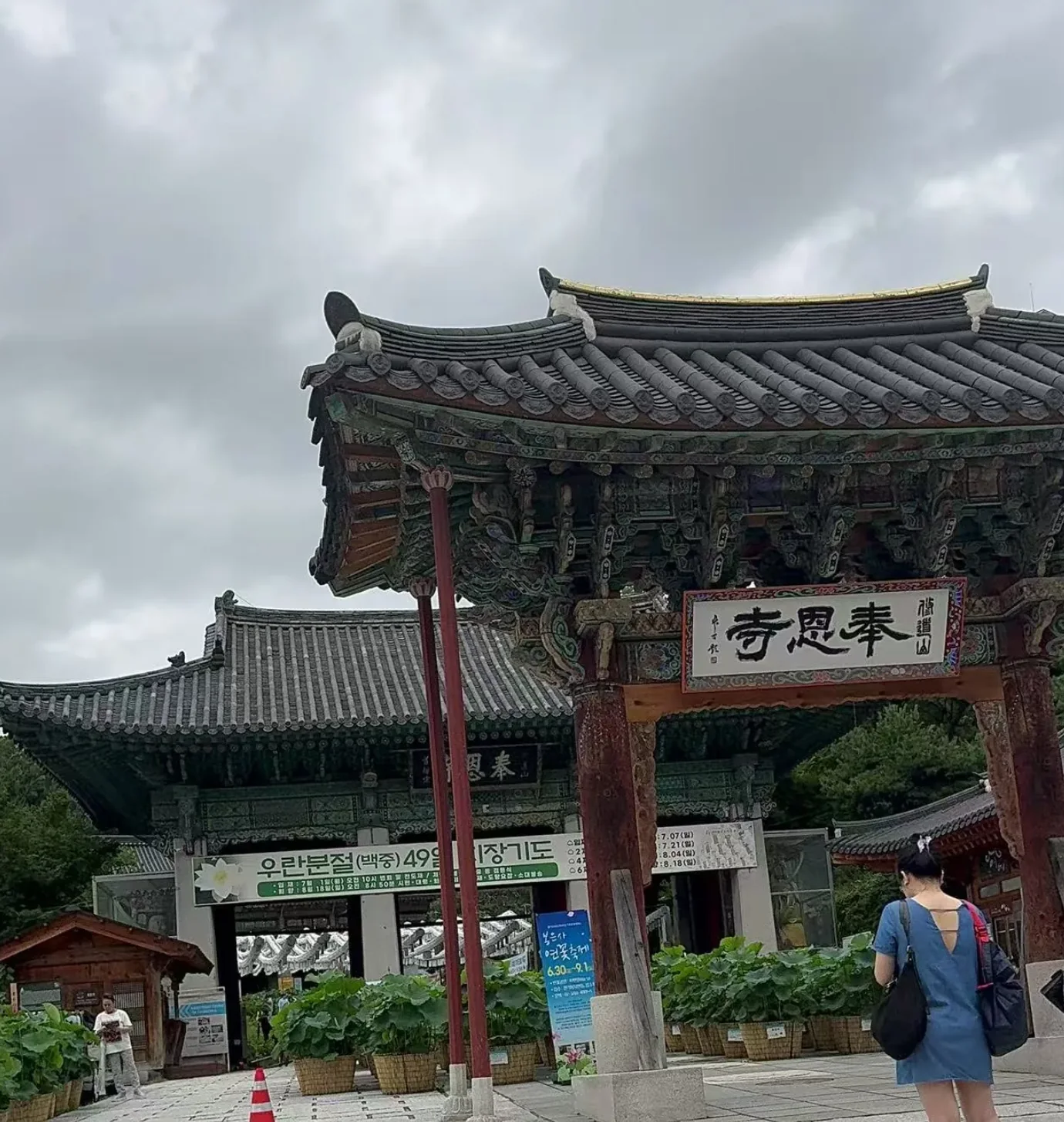 仰望高处的书